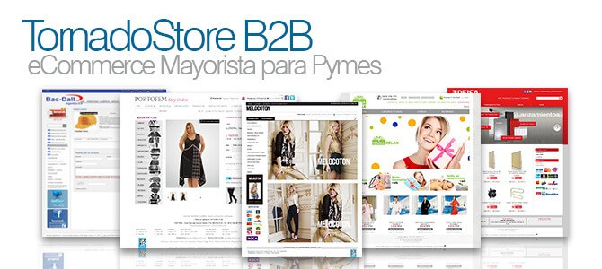 eCommerce para Mayoristas - B2B