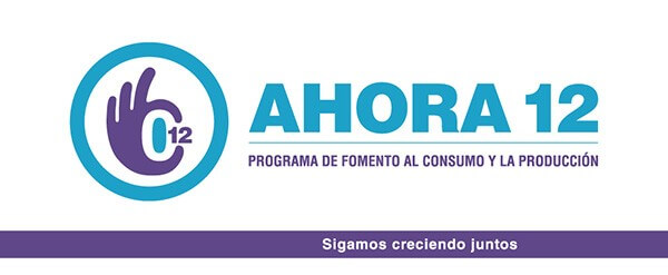 Programa Ahora 12 - Comuniquelo bien por la WEB